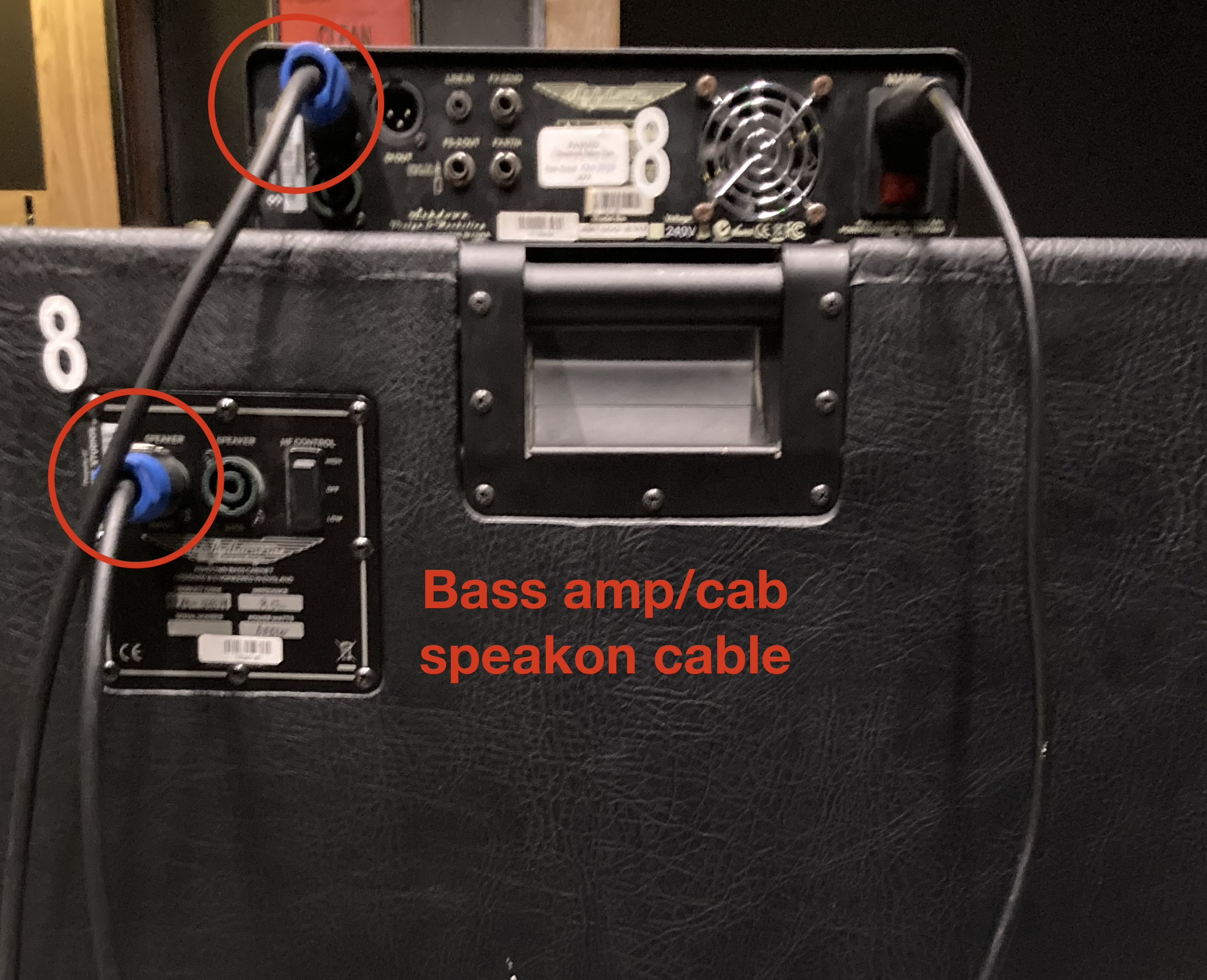 Bass Head and Cab Rear view.jpg